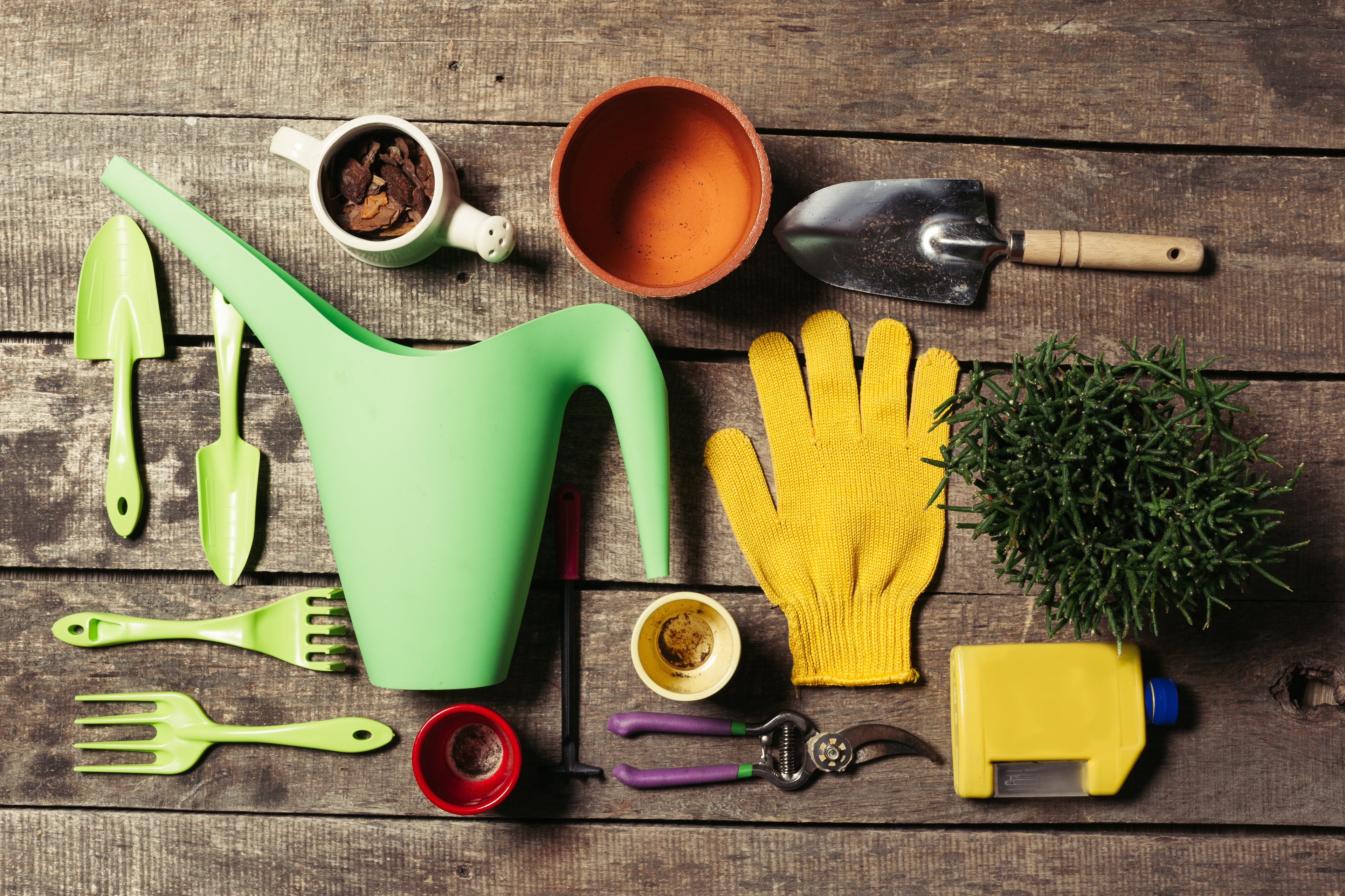 Garden and Garage Cleaning
